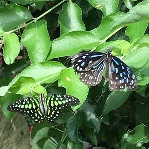 Meet your Posher, Wendy